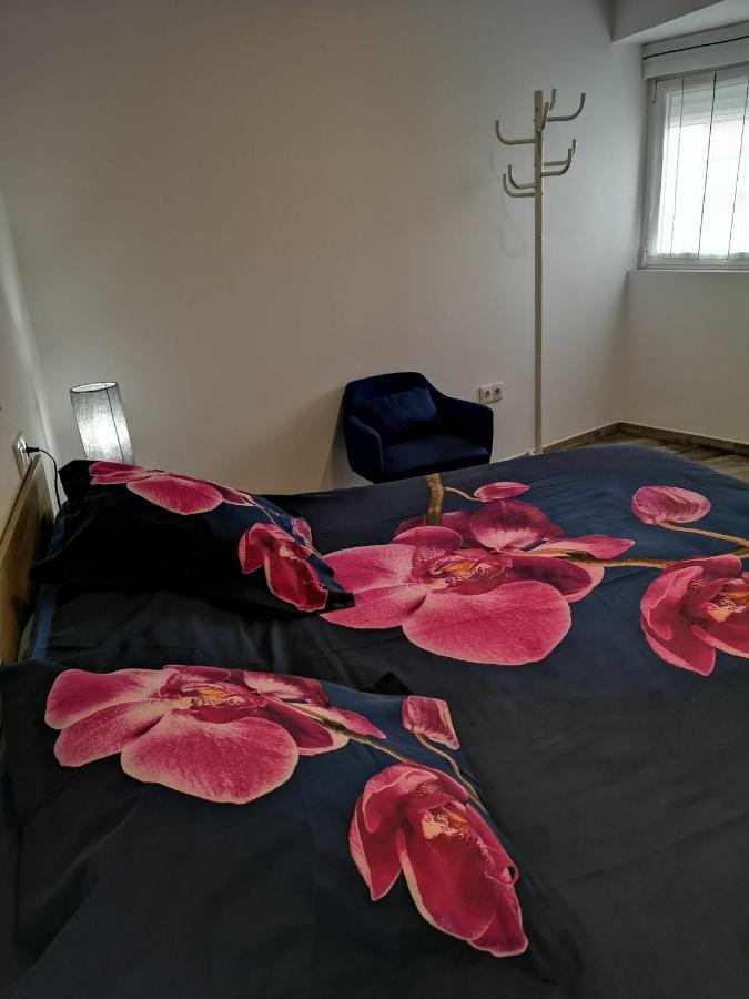 Ibanez Apartment